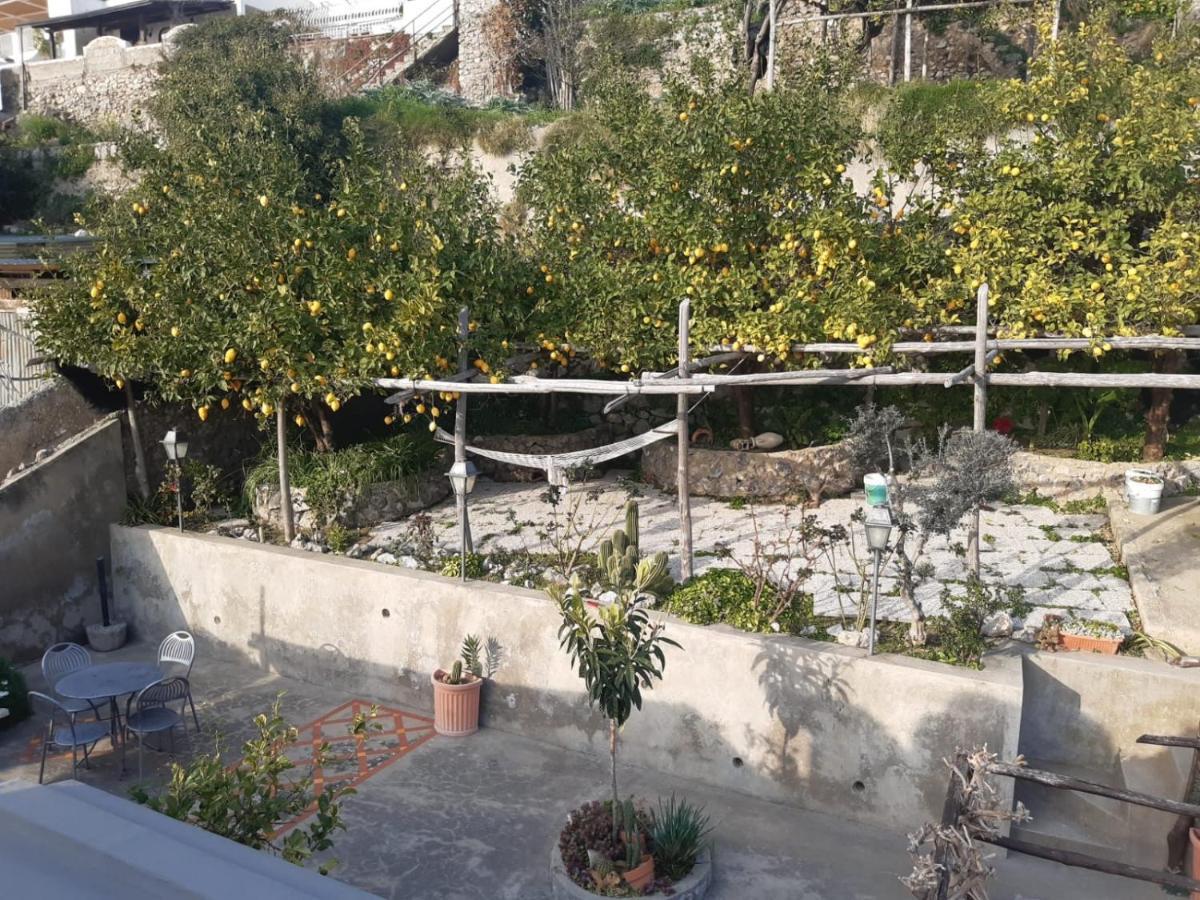 Giardino Eden Villa Praiano Buitenkant foto